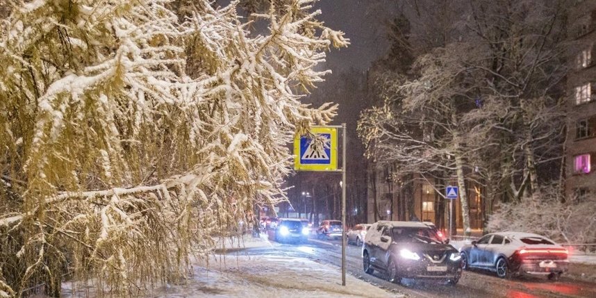    Фото: Алена Бобрович.