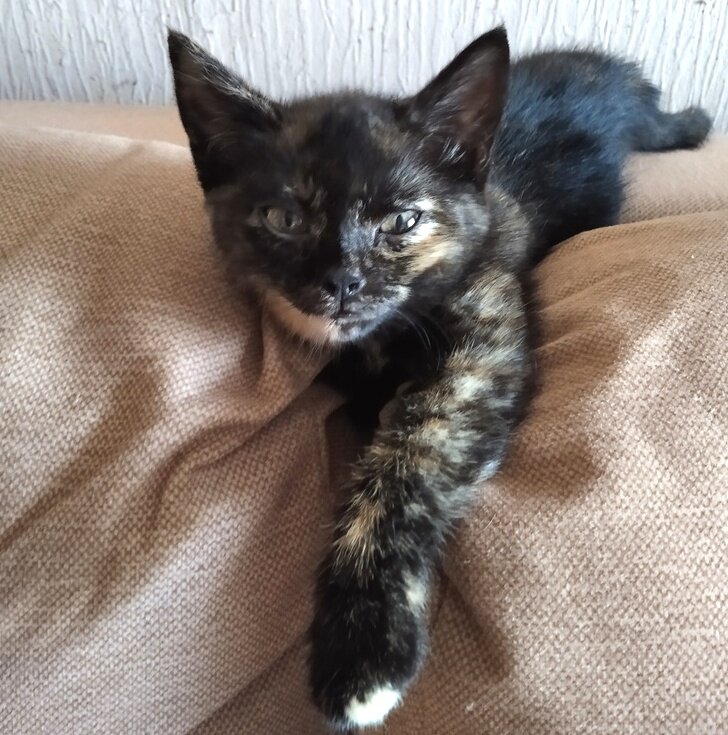 Знаешь, как меня зовут? 