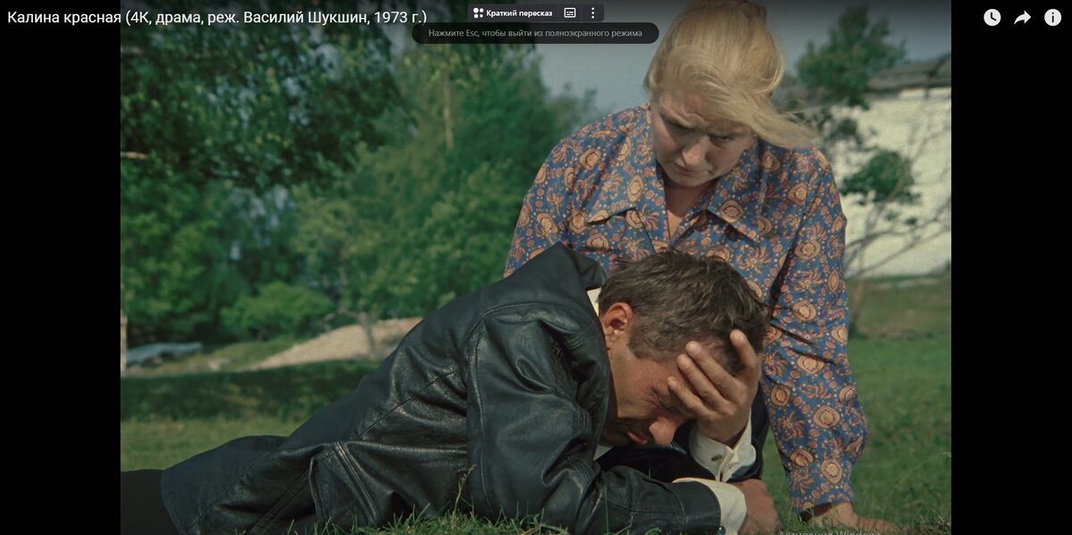 Кадр покаяния из фильма "Калина красная" (фото из сети интернет)