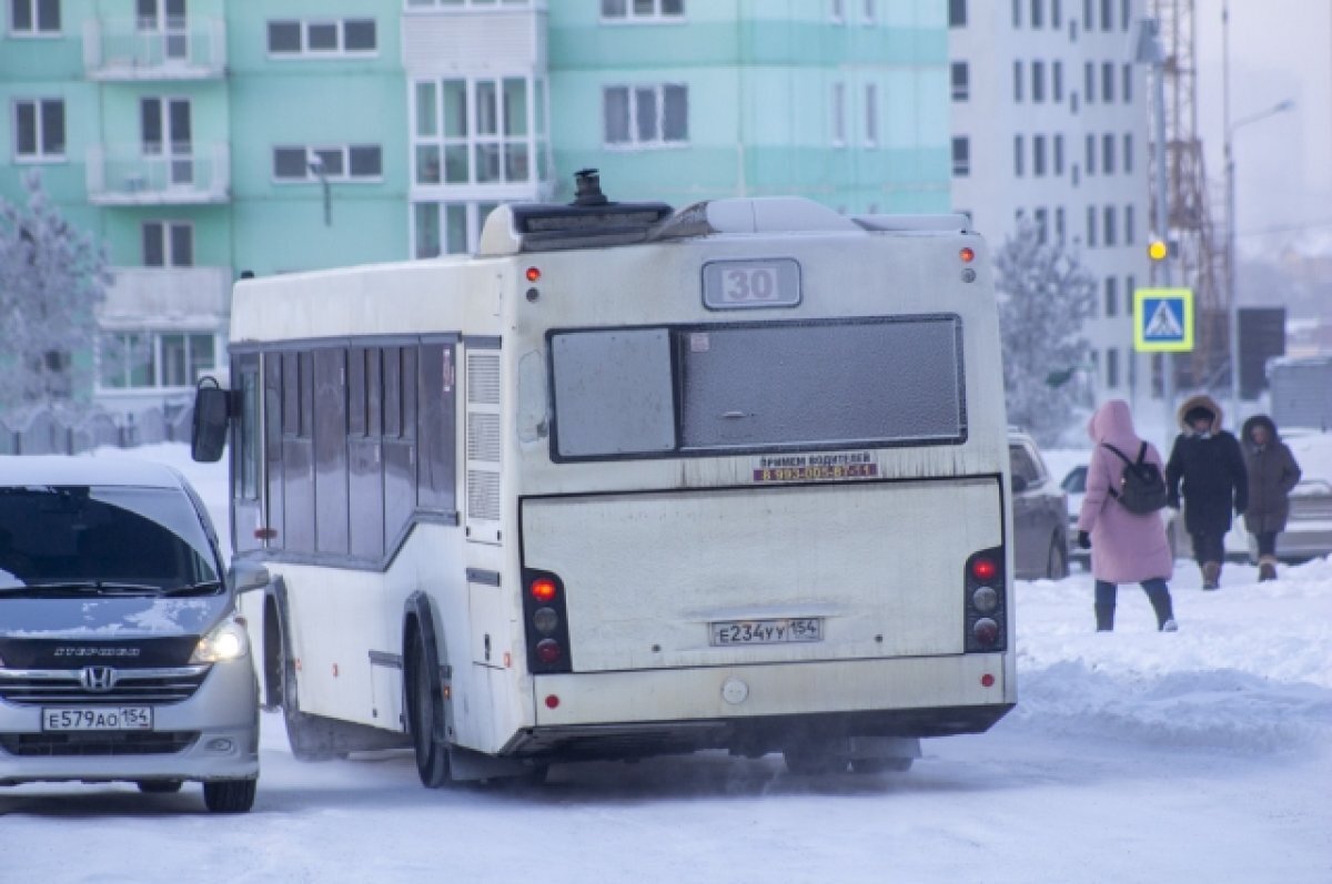    Мэрия Новосибирска назвала количество общественного транспорта в городе