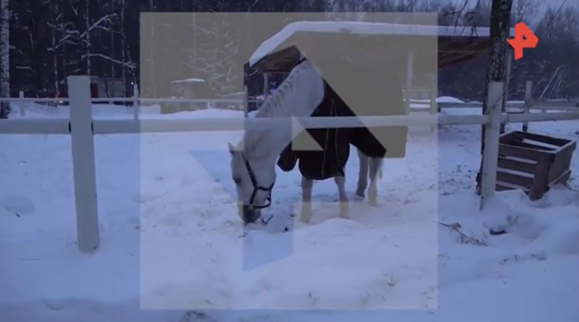 Фото: скриншот видео РЕН ТВ