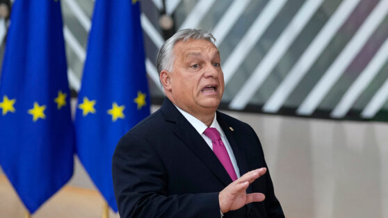    Орбан заявил, что не даст ЕС начать переговоры о вступлении с Украиной Татьяна Сидорова