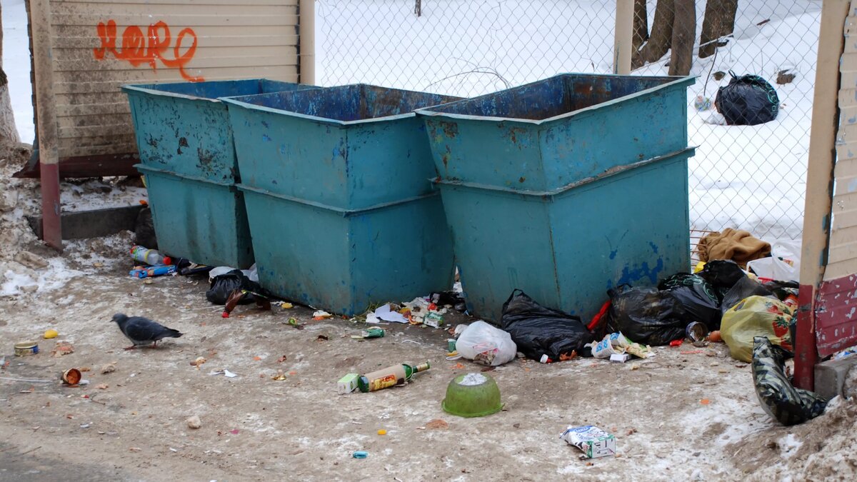     В Арзгирском округе Ставропольского края приостановили вывоз мусора из-за стихии, сообщил глава администрации округа Алексей Палагута.