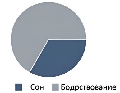 Монофазный режим сна
