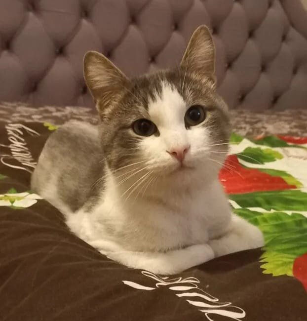 Маркус сейчас в хороших руках