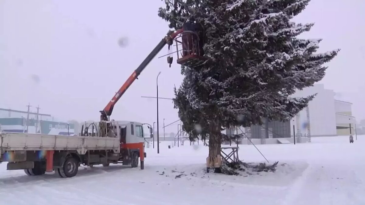 Власти заявили, что не хотели красть елку у людей для городской площади |  Проспект Мира | Дзен