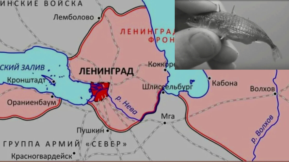 8 сентября 1941 года немецкие войска захватили Шлиссельбург и замкнули кольцо. Так началась продолжительная блокада Ленинграда.