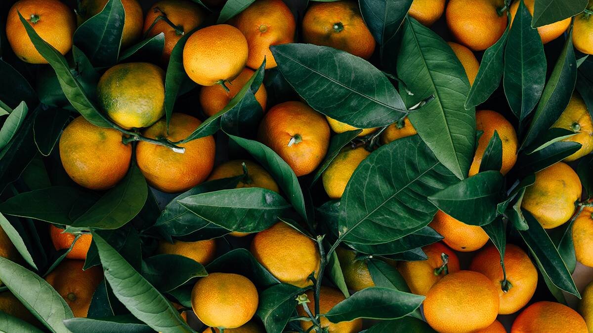    Фото: Unsplash