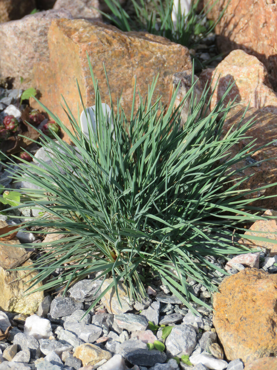 У каждого свои недостатки.. | Сад на ветру | Дзен