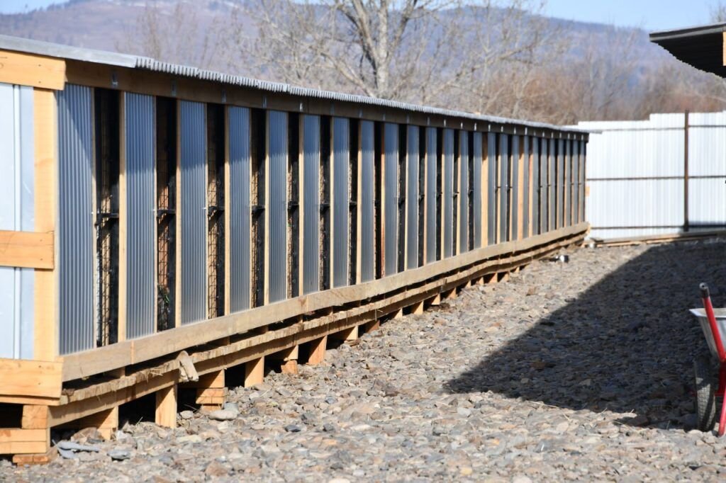    Фото: Евгений Епанчинцев