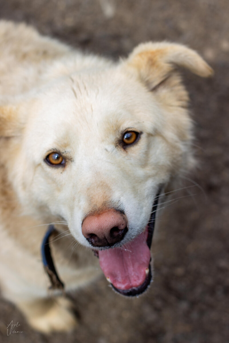 Алиссия ОЧЕНЬ любит людей