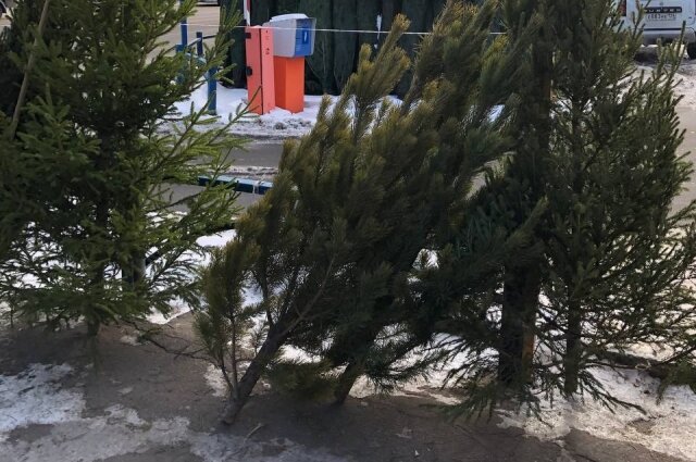    Фото:  АиФ/ Ульяна Ларионова