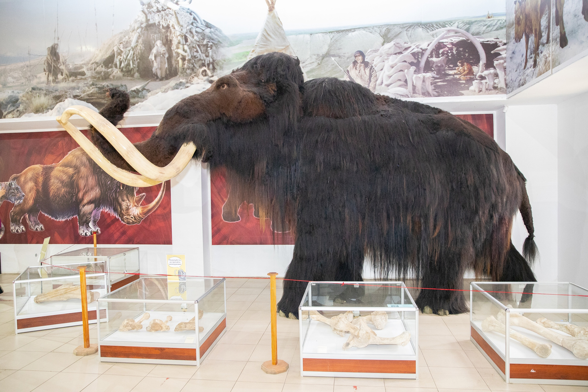 Изображение "Классная страна"