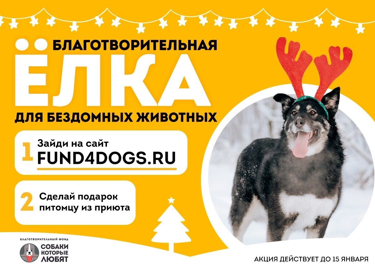 Фото- собственность канала