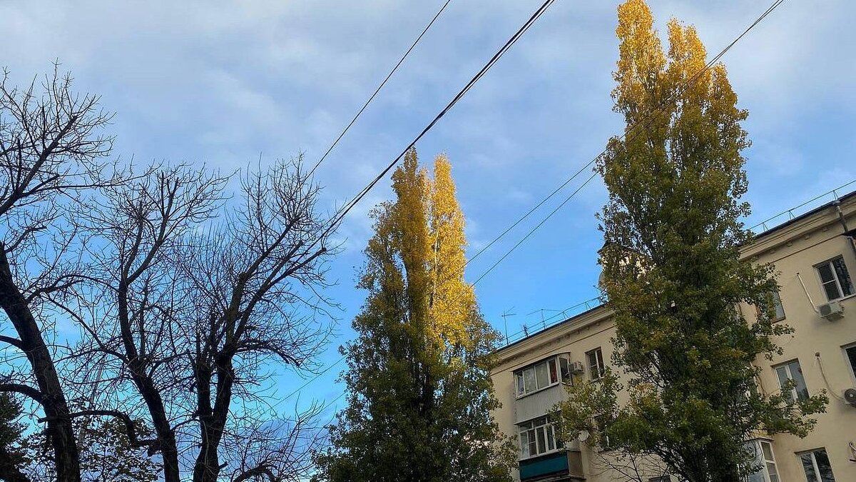    15 декабря в Краснодаре планово запустят системы оповещения населения Фото: Телеканал «Краснодар»