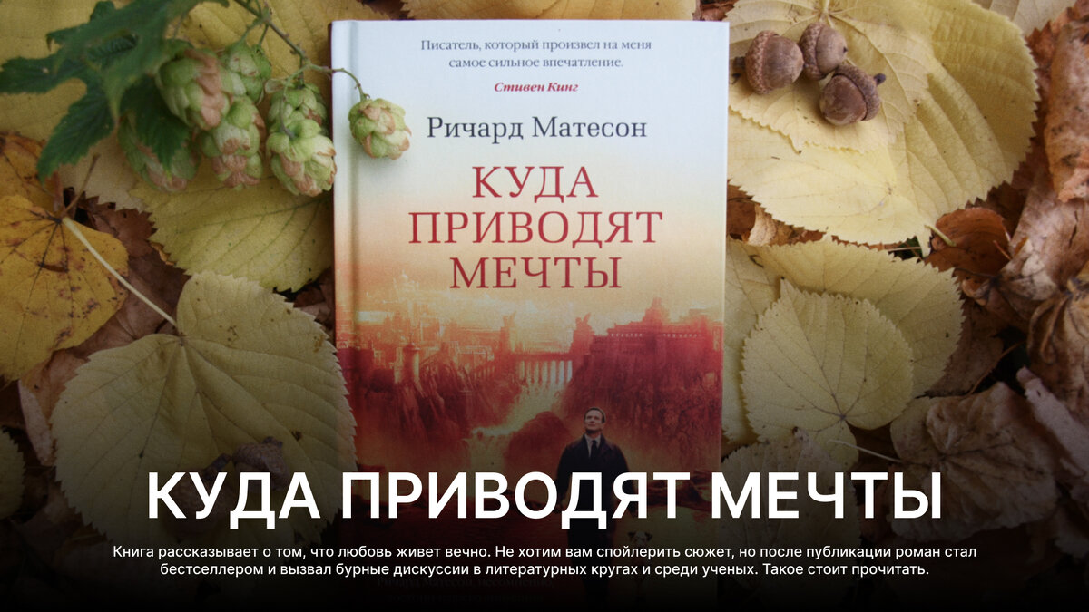 Что почитать уютным вечером? Эти книги согреют даже в мороз | Insight  People | Дзен