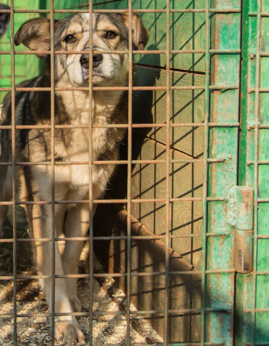 В жизни нет ничего сложного. Это мы сложны.