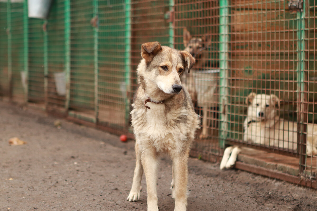 Чтобы дойти до цели, надо прежде всего идти.