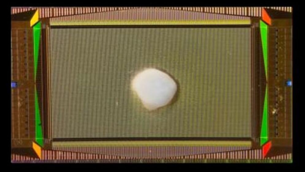    Фото: Cai et al./Nature Electronics, 2023