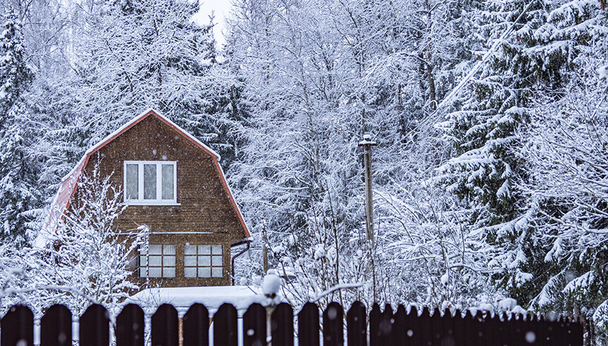    Фото: Global Look Press