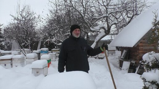 ОСНОВНЫЕ ПРИЧИНЫ ПЛОХОЙ ЗИМОВКИ ПЧЁЛ. | Пасека Владимира Жукова | Дзен