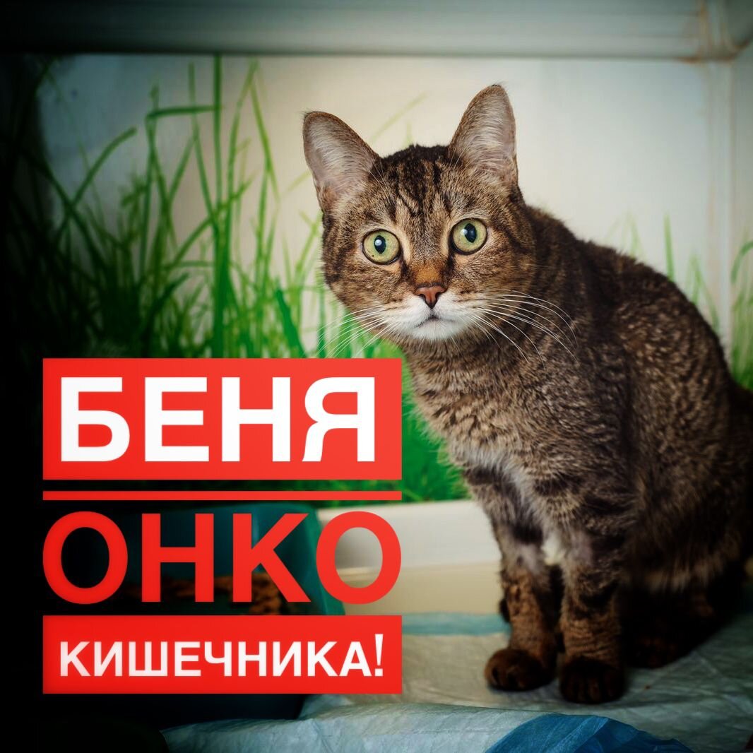 Пожалуйста, примите участие в акции "День стольника"