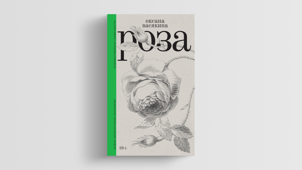Большая книга васякина