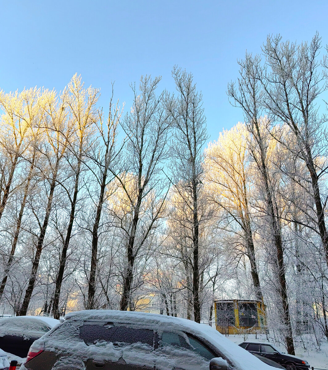 Мороз и солнце
