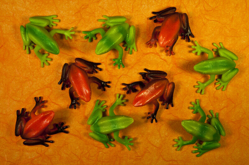 Лягушки Мартина. Они наглядно иллюстрируют количество рассматриваемых и отложенных проектов.