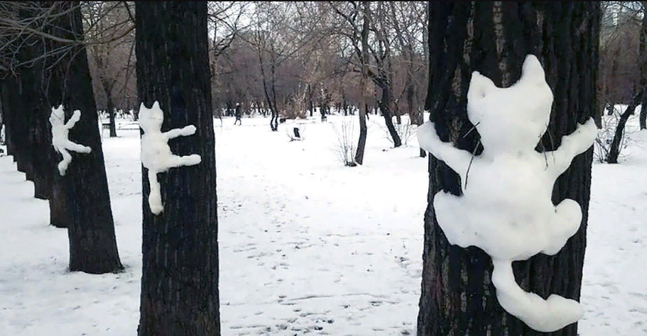 Источник Яндекс картинки