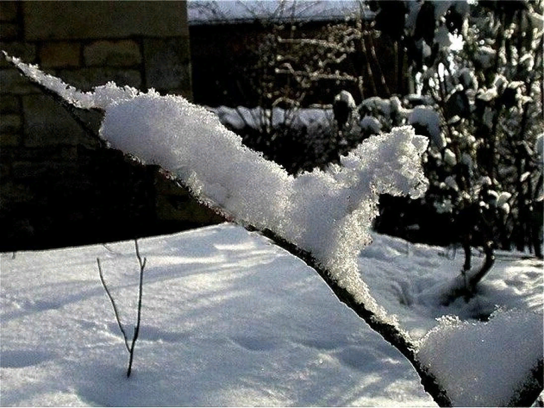 Источник Яндекс картинки