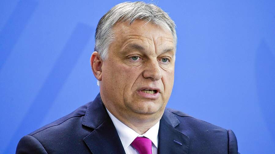 Фото: Global Look Press/imago stock&people/Reiner Zensen