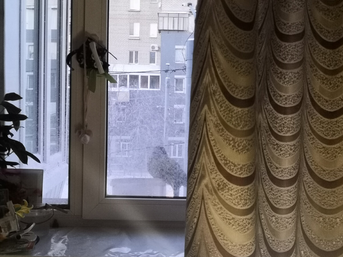 сидит весь в дымке...