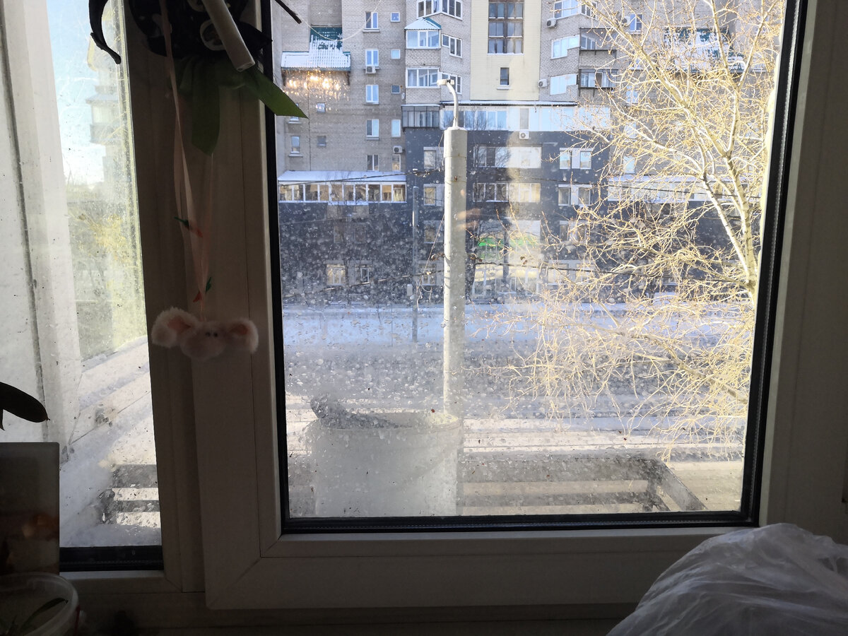 птицы мне всё окно забрызгали водой.