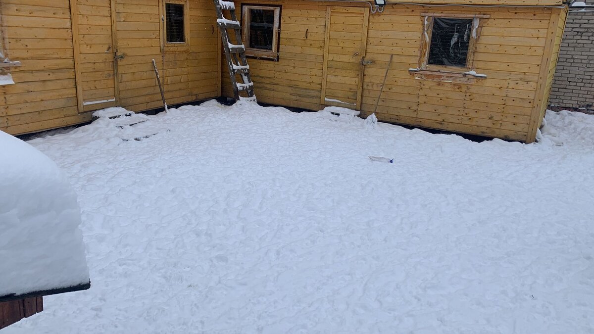 Самый большой наш выгульник