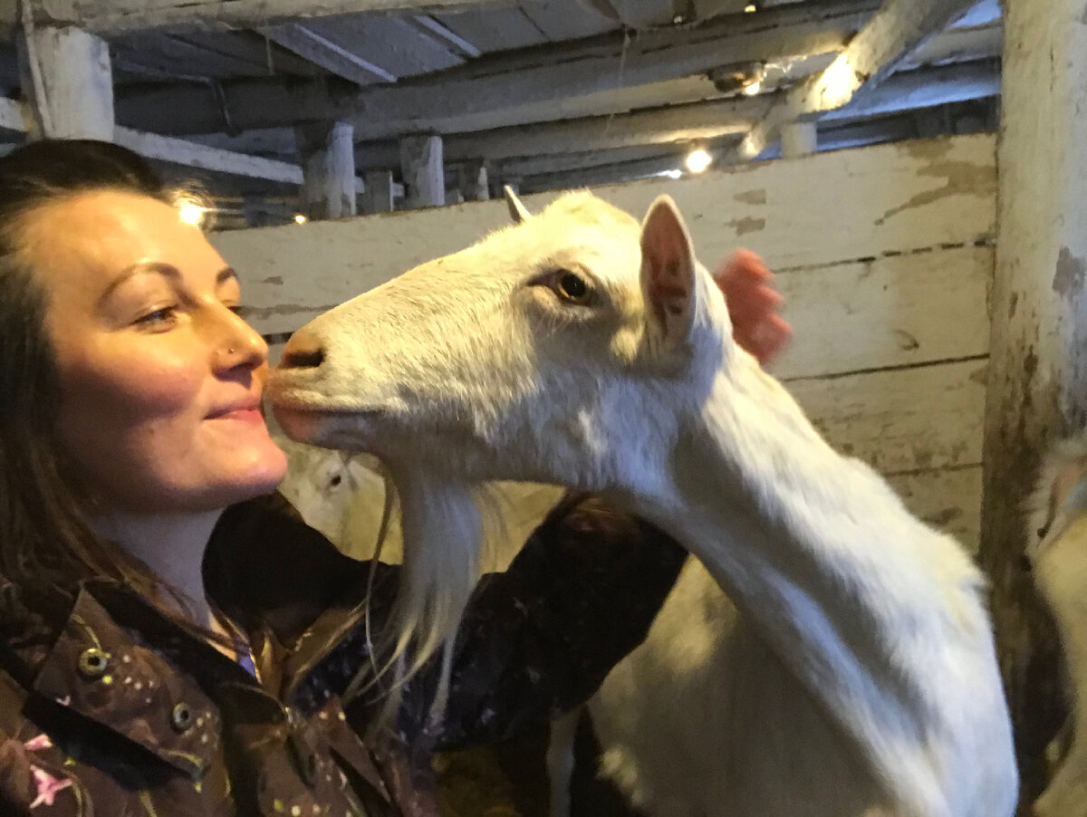 Автор канала Бодрый Козовод 