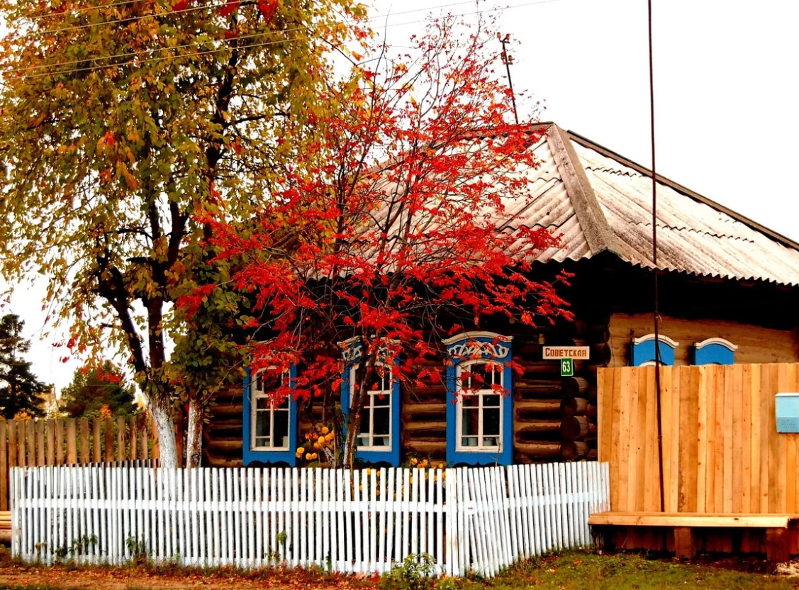 Яндекс картинки