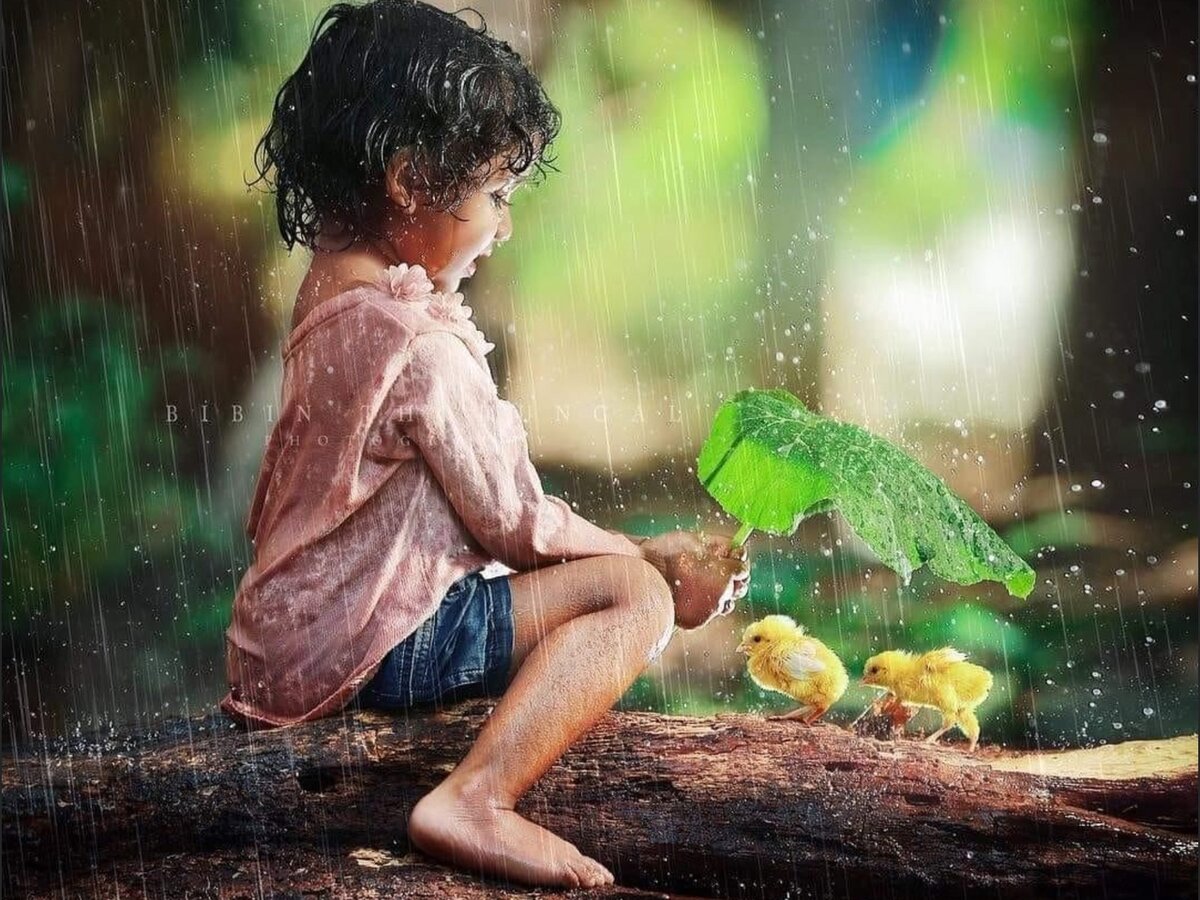 Фото из свободного доступа сети Интернет