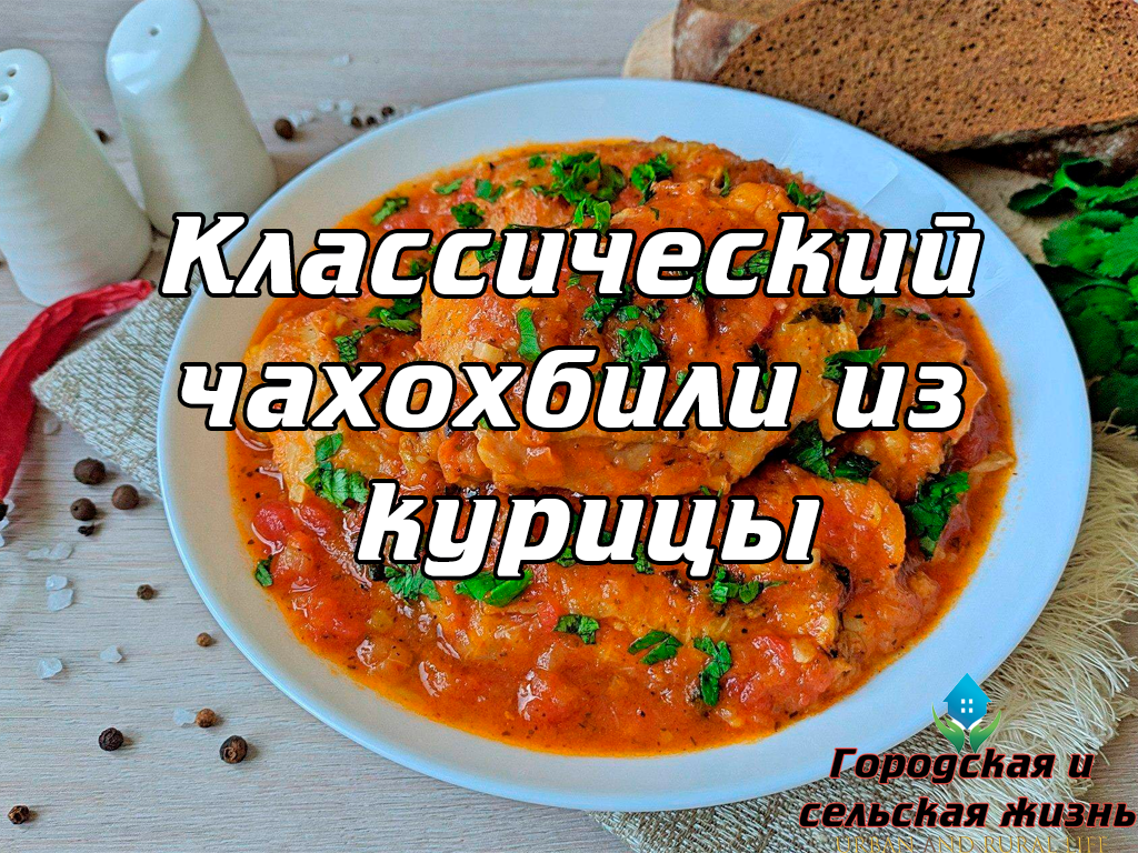 Классический чахохбили из курицы | Городская и сельская жизнь. | Дзен