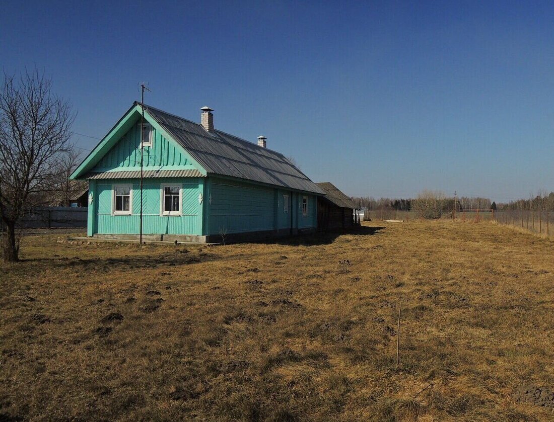 Хата в деревне рядом с Неманом: с камином, парилкой, водопроводом и санузлом.  Недорого | Realt.by | Дзен