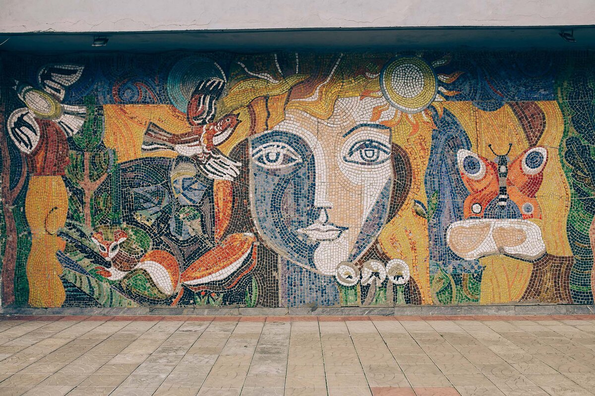       Черноголовка Фото: Лада Певунова