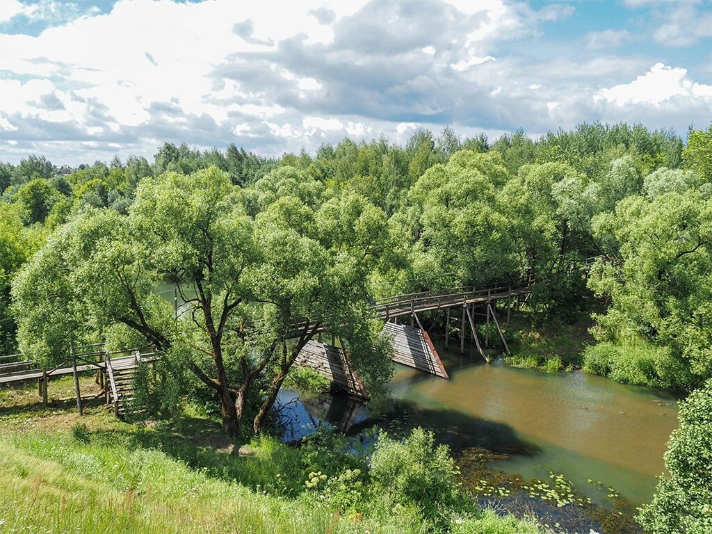    Фото: Правительство Владимирской области, ВК