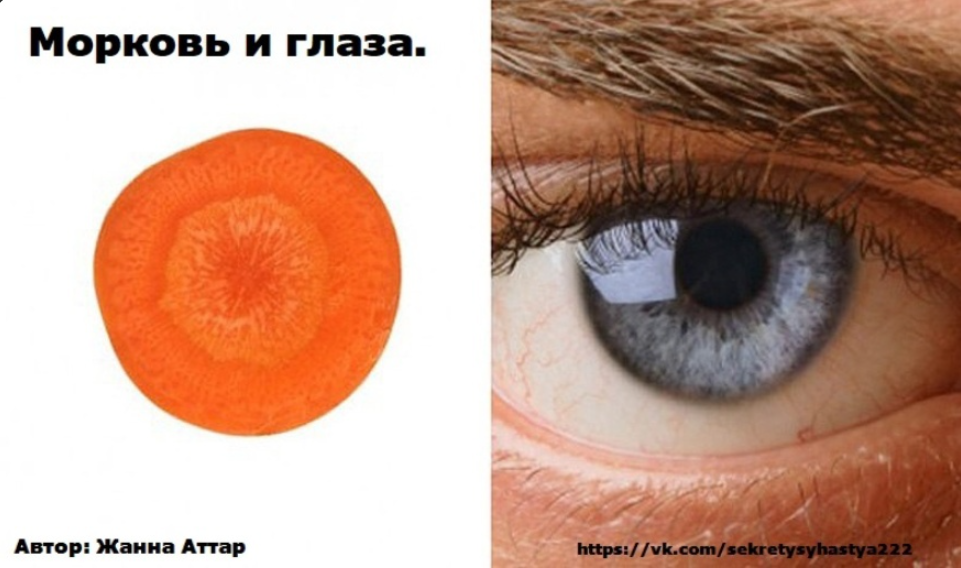 Фрукты похожи на органы. Морковь с глазами. Срез моркови и глаз. Морковь похожа на глаз. Овощи похожие на глаз.