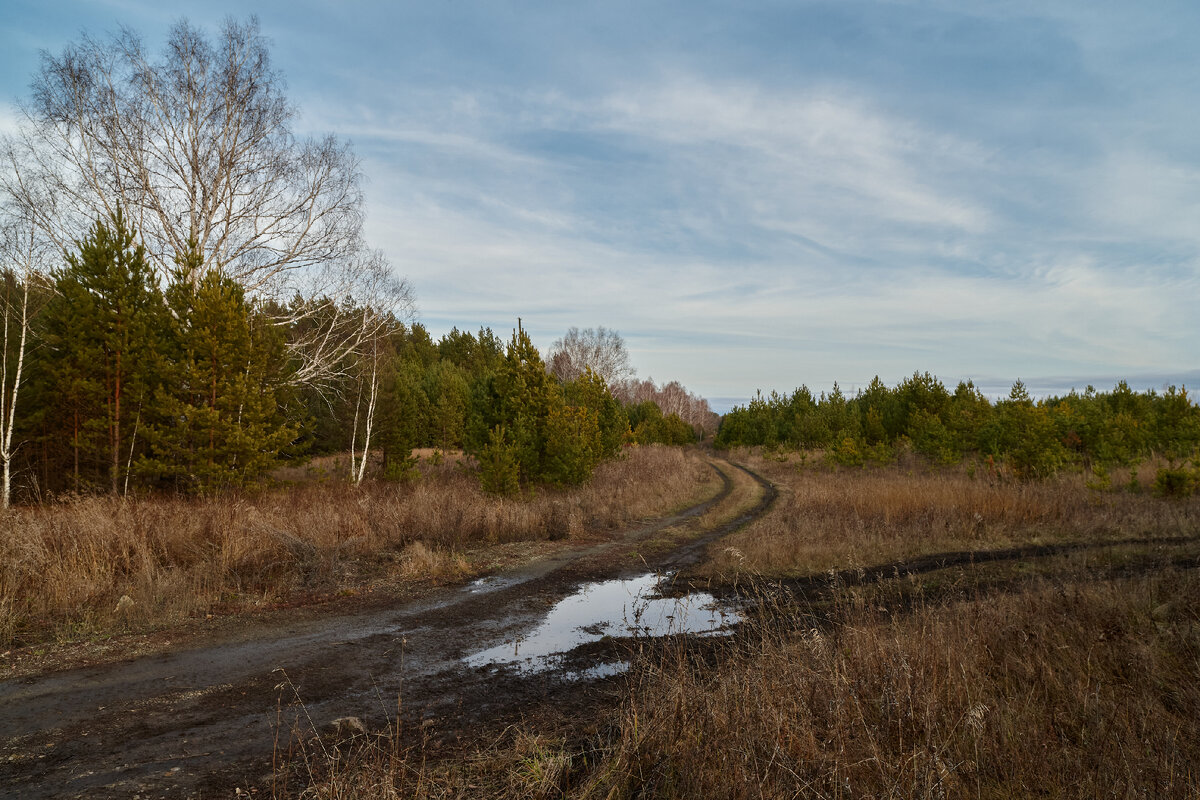 05.11.2023 г. около села Старая Селя, Canon EOS 1Ds Mark III, Carl Zeiss Distagon 2.8/21 ZE T*