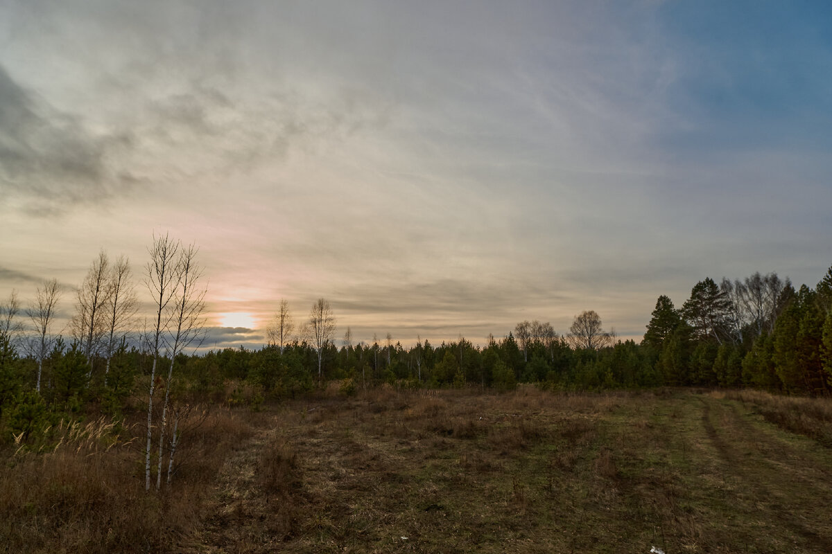 05.11.2023 г. около села Старая Селя, Canon EOS 1Ds Mark III, Carl Zeiss Distagon 2.8/21 ZE T*