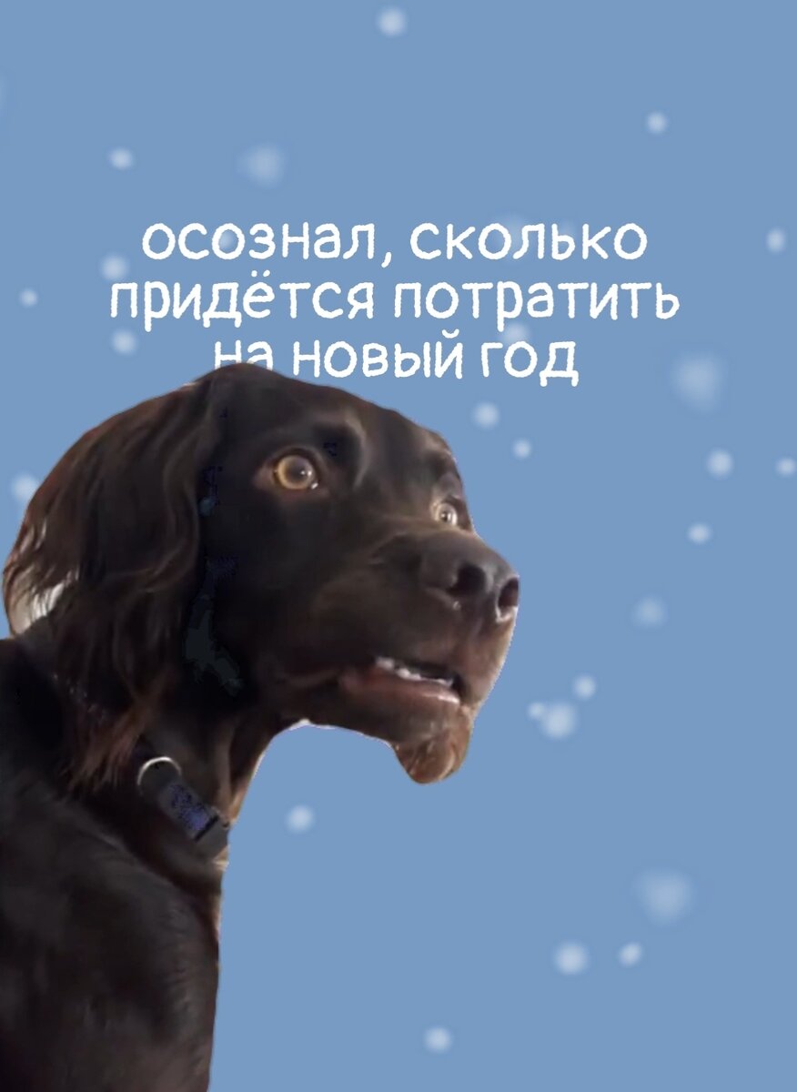 Новый год уже на носу