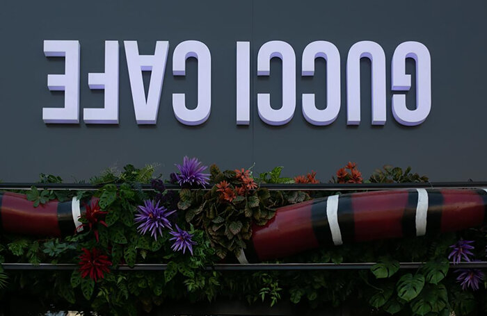    guccicafe.taplink.ws