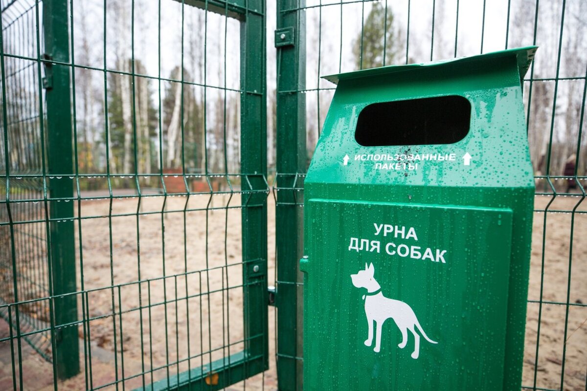    В Сургуте могут запретить выгул собак в парках