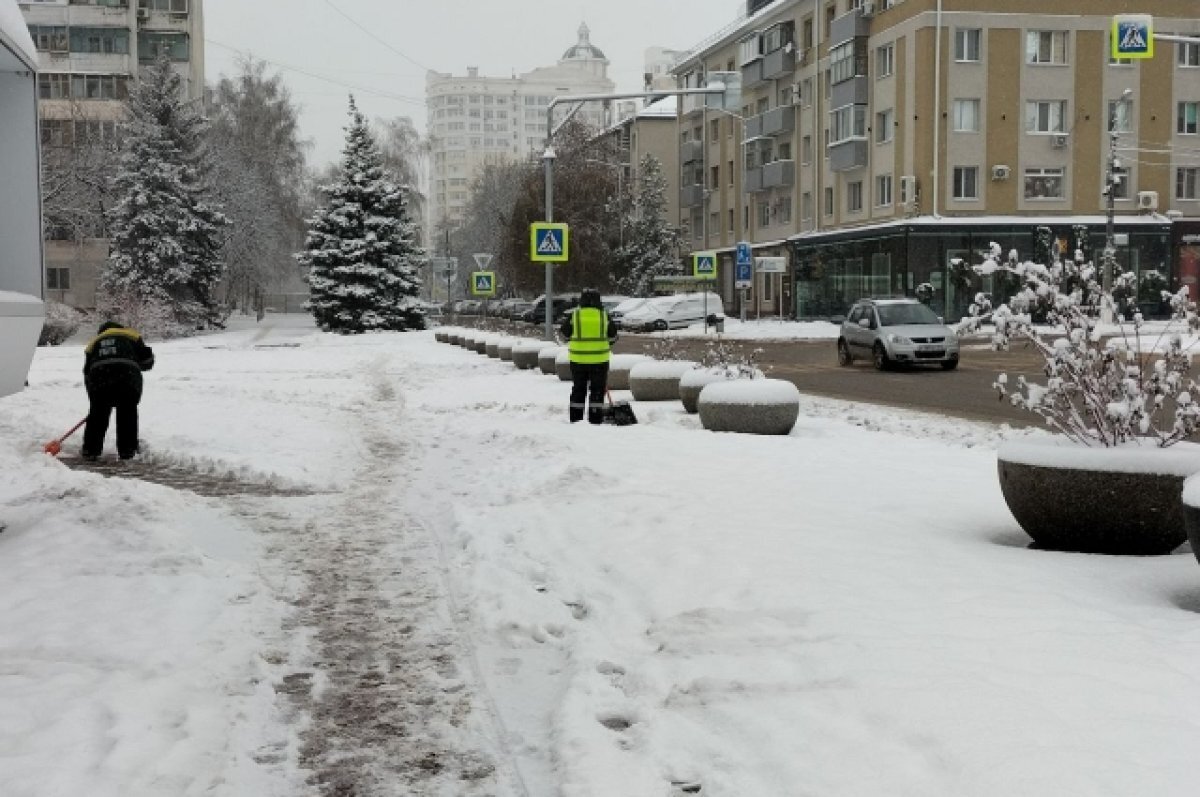    Сильные осадки и порывы ветра ожидаются на Белгородчине 14 декабря