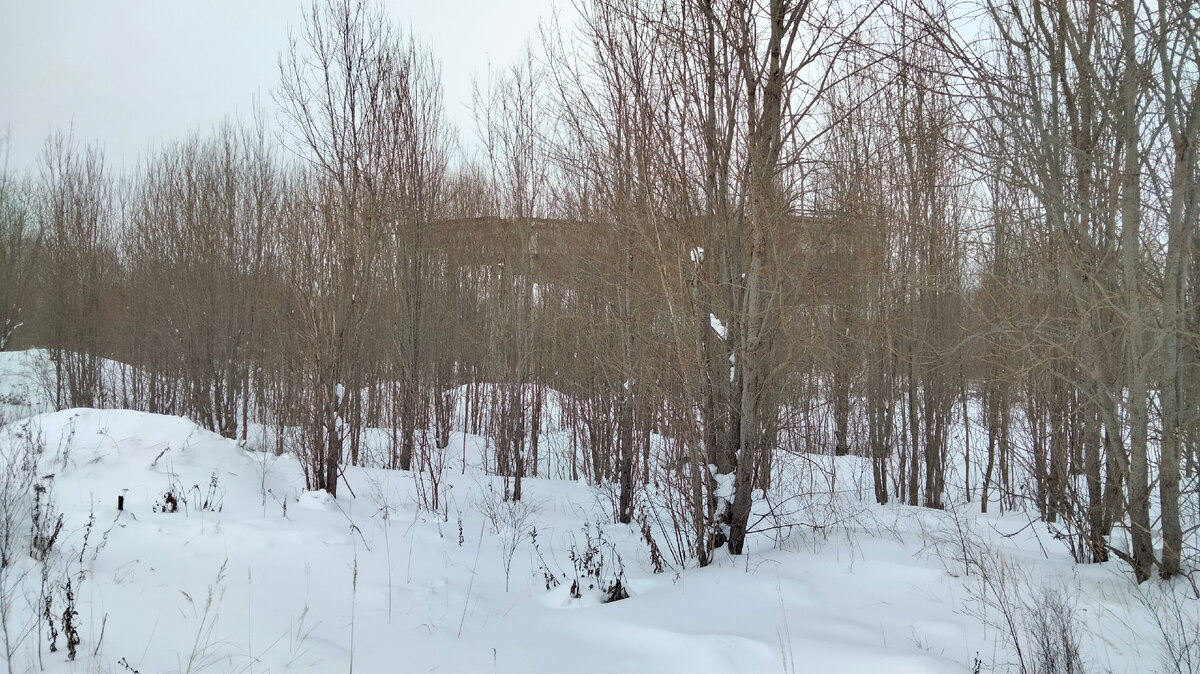 Интересные руины, но зимой тут не так живописно как летом.